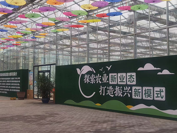 濰坊新農(nóng)業(yè)智能大棚建設(shè)